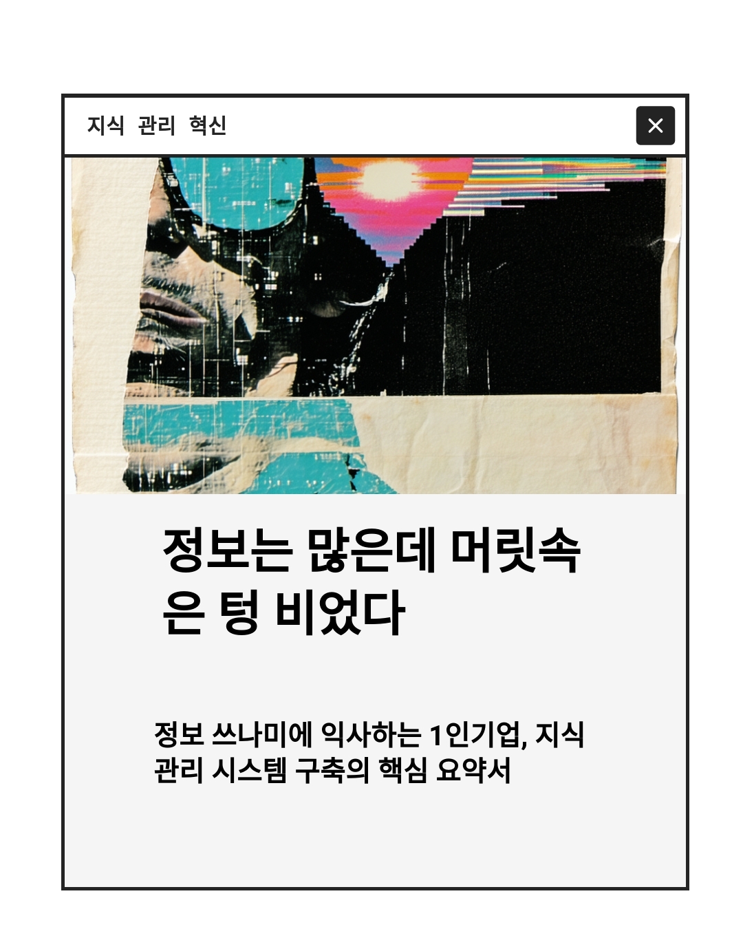 정보 쓰나미에 익사하는 1인기업, 지식관리 시스템 구축의 핵심 요약서