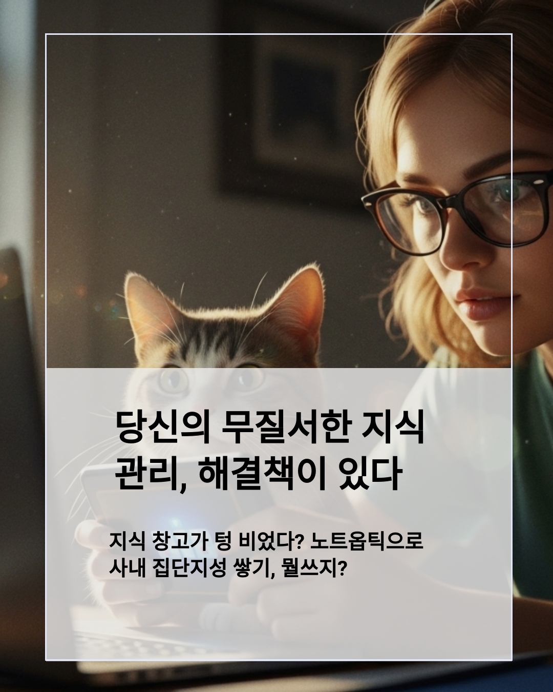 지식 창고가 텅 비었다? 노트옵틱으로 사내 집단지성 쌓기